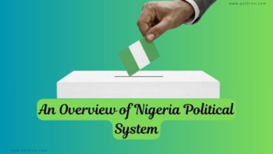 Nigeria Political System